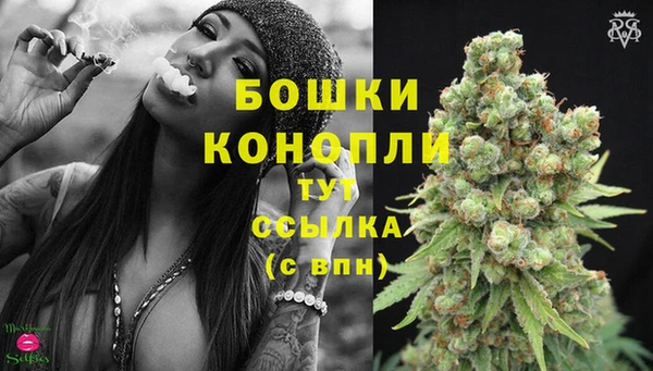 стаф Верея