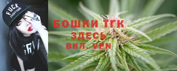 стаф Верея