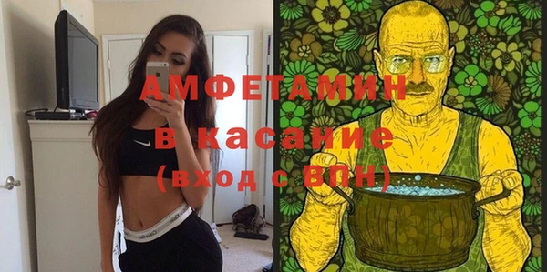 стаф Верея