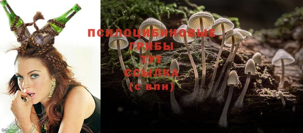 стаф Верея